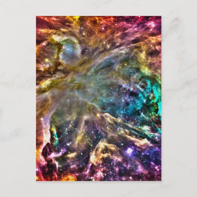 Colourful Cosmos Postcard (Front)