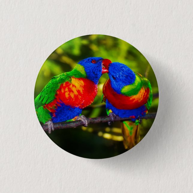 Colourful Couple of Kissing Parrots 3 Cm Round Badge (Front)