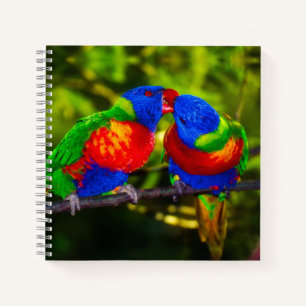 Colourful Couple of Kissing Parrots Notebook