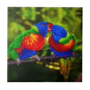 Colourful Couple of Parrots Tile