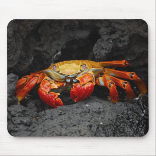 Colourful Crab Mouse Mat