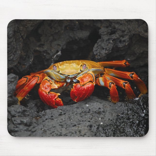 Colourful Crab Mouse Mat (Front)