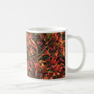 Colourful Croton mug