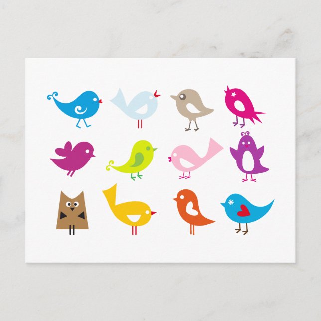 Colourful cute birds postcard (Front)