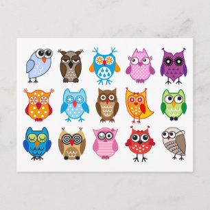 Colourful cute owls postcard