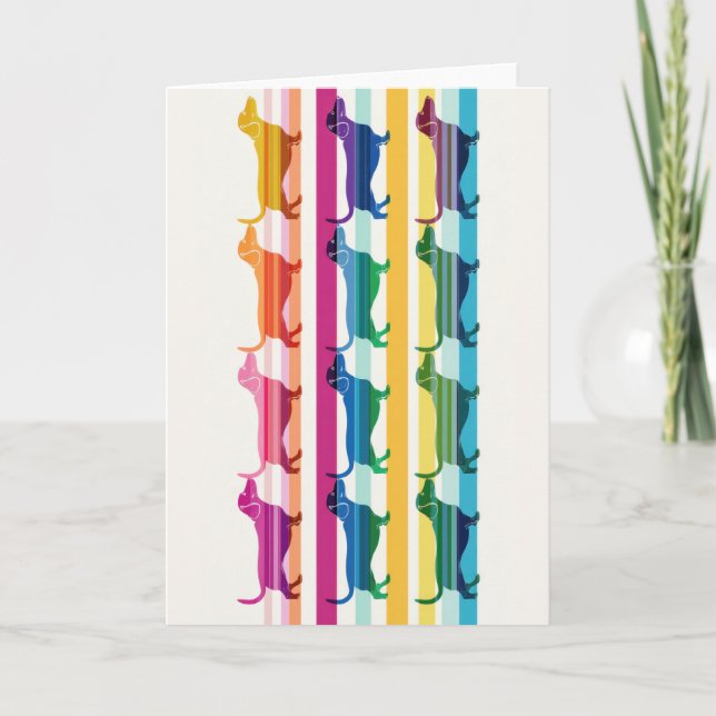 Colourful Dachshund Pattern Retro Stripes Card (Front)