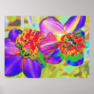 Colourful daffodil print