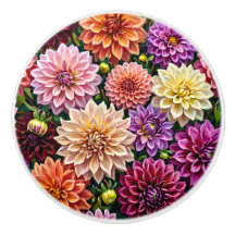 Colourful Dahlia Flowers