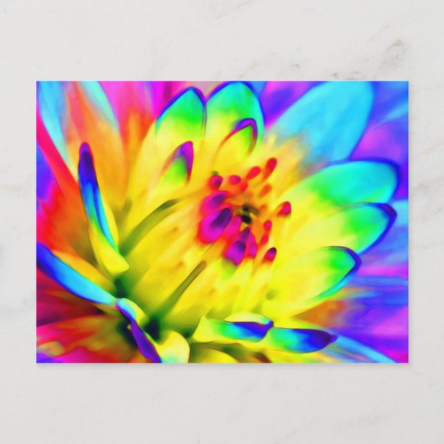 colourful dahlia postcard (Front)