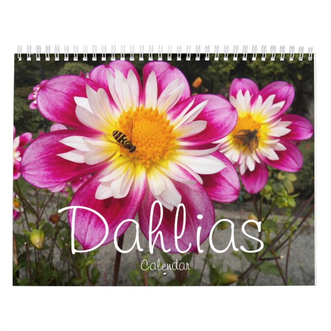 Colourful Dahlias Floral Photographic Calendar (Cover)