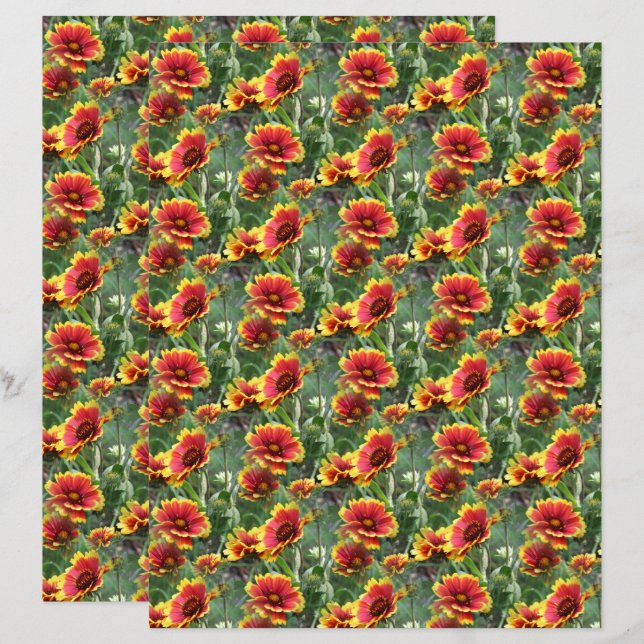 Colourful Daisies Flower Nature Pattern Scrapbook (Front/Back)