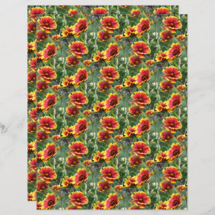 Colourful Daisies Flower Nature Pattern Scrapbook