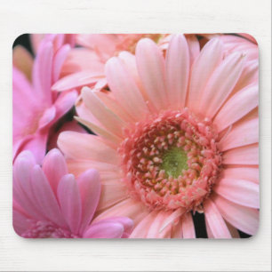 Colourful Daisies Mouse Pad