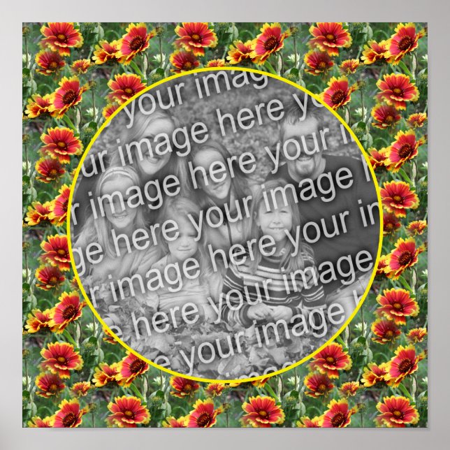 Colourful Daisy Flowers Frame Create Your Own Phot Poster (Front)