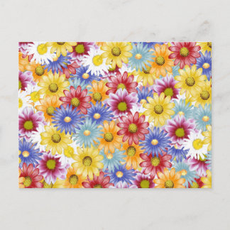 Colourful Daisy Flowers Postcard