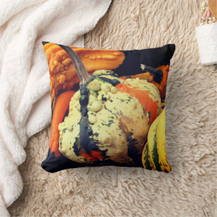 Colourful Decorative Gourds Close Up Fall   Cushion
