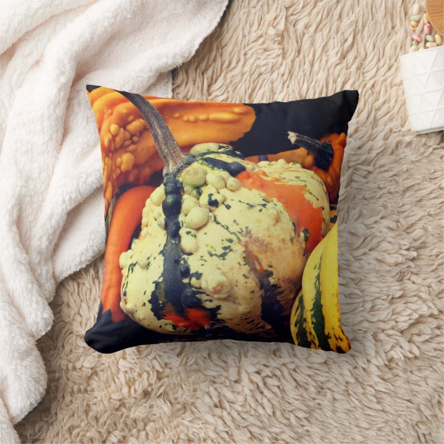 Colourful Decorative Gourds Close Up Fall   Cushion (Blanket)