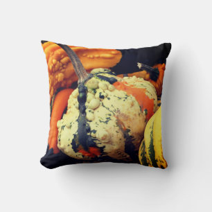 Colourful Decorative Gourds Close Up Fall Cushion