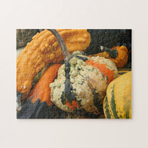 Colourful Decorative Gourds Close Up Fall  Jigsaw Puzzle