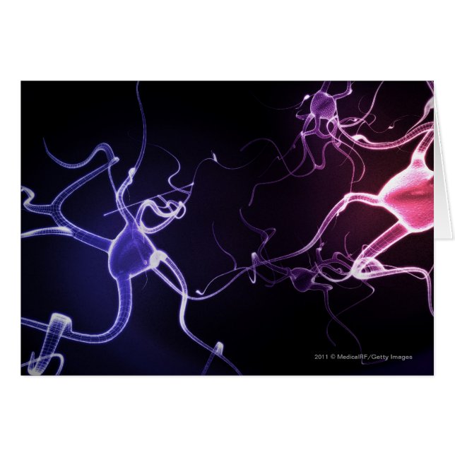 Colourful depiction of neurons (Front Horizontal)