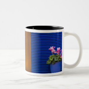Colourful design contrast on residence Two-Tone coffee mug