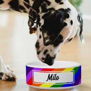 Colourful Diagonal Rainbow Pet Bowl