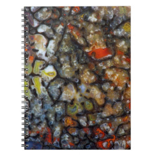 Colourful Dinosaur Bone Notebook