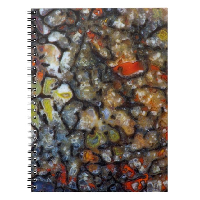 Colourful Dinosaur Bone Notebook (Front)