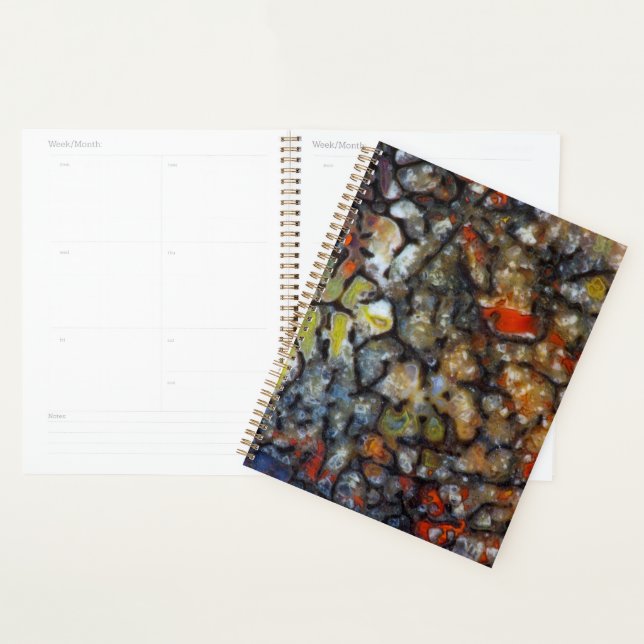 Colourful Dinosaur Bone Planner (Display)