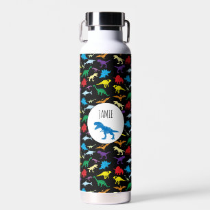 Colourful Dinosaurs Kids Pattern Water Bottle