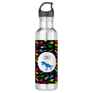 Colourful Dinosaurs Watercolor Kids Pattern 710 Ml Water Bottle