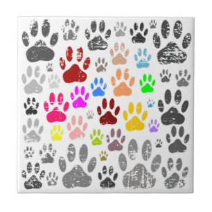Colourful Distressed Dog Paw Prints On Grey Tile