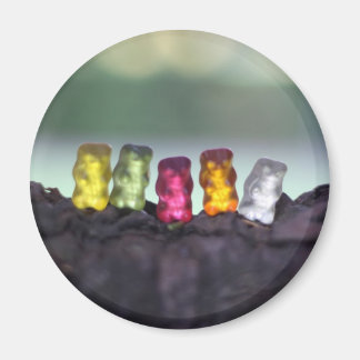Colourful Diversity Gummy Bears Photography Magnet