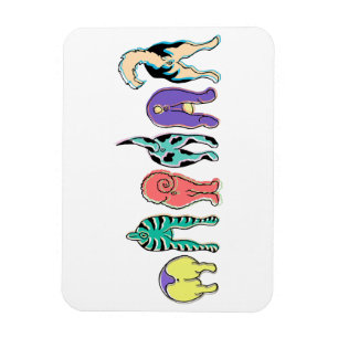 Colourful Dog Butts Magnet