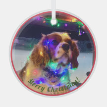 Colourful Dog Christmas Ornament
