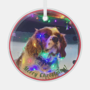 Colourful Dog Christmas Ornament