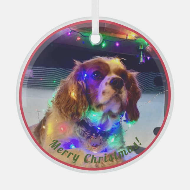 Colourful Dog Christmas Ornament (Front)