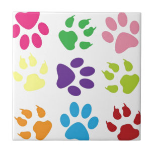 Colourful Dog Paws Tile