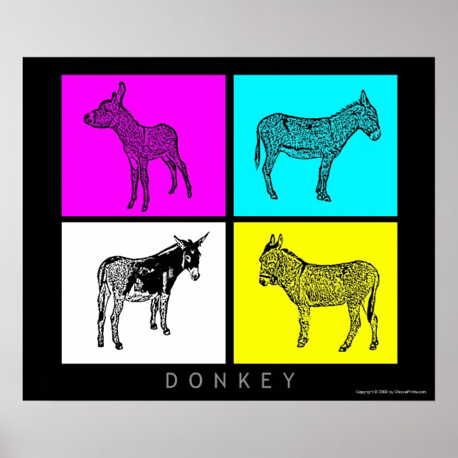 Colourful Donkeys Poster (Front)