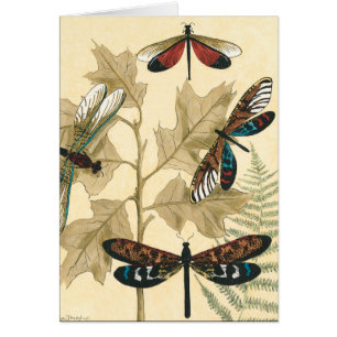 Colourful Dragonflies Floating Above Leaves