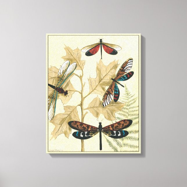Colourful Dragonflies Floating Above Leaves Canvas Print (Front)