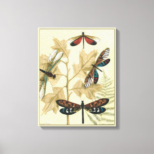 Colourful Dragonflies Floating Above Leaves Canvas Print