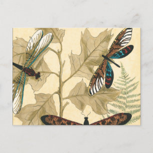 Colourful Dragonflies Floating Above Leaves Postcard