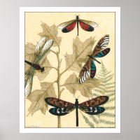 Colourful Dragonflies Floating Above Leaves