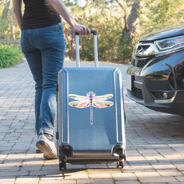 Colourful dragonfly  (Suitcase Insitu)