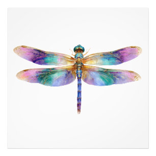 Colourful Dragonfly – Iridescent Nature Art Photo Print