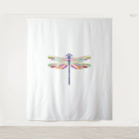Colourful dragonfly