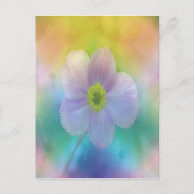 Colourful Dreams Postcard (Front)