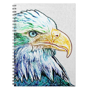 Colourful Eagle Sketch Notebook