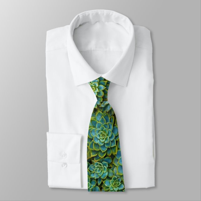 Colourful Echeveria Green Succulent Tie (Tied)